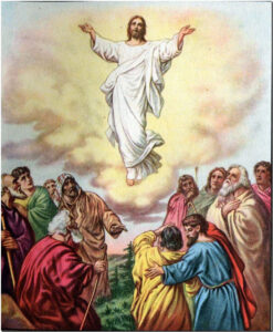 G:\000. EVANGELHOS 2014 - ANO A\05. MAIO ANO A\1\ascenção de Cristo 0a1.jpg